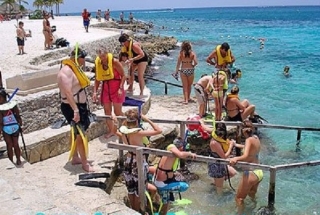  Mergulho com snorkel em grupo 